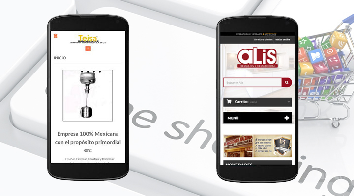 Construye  tu tienda en línea